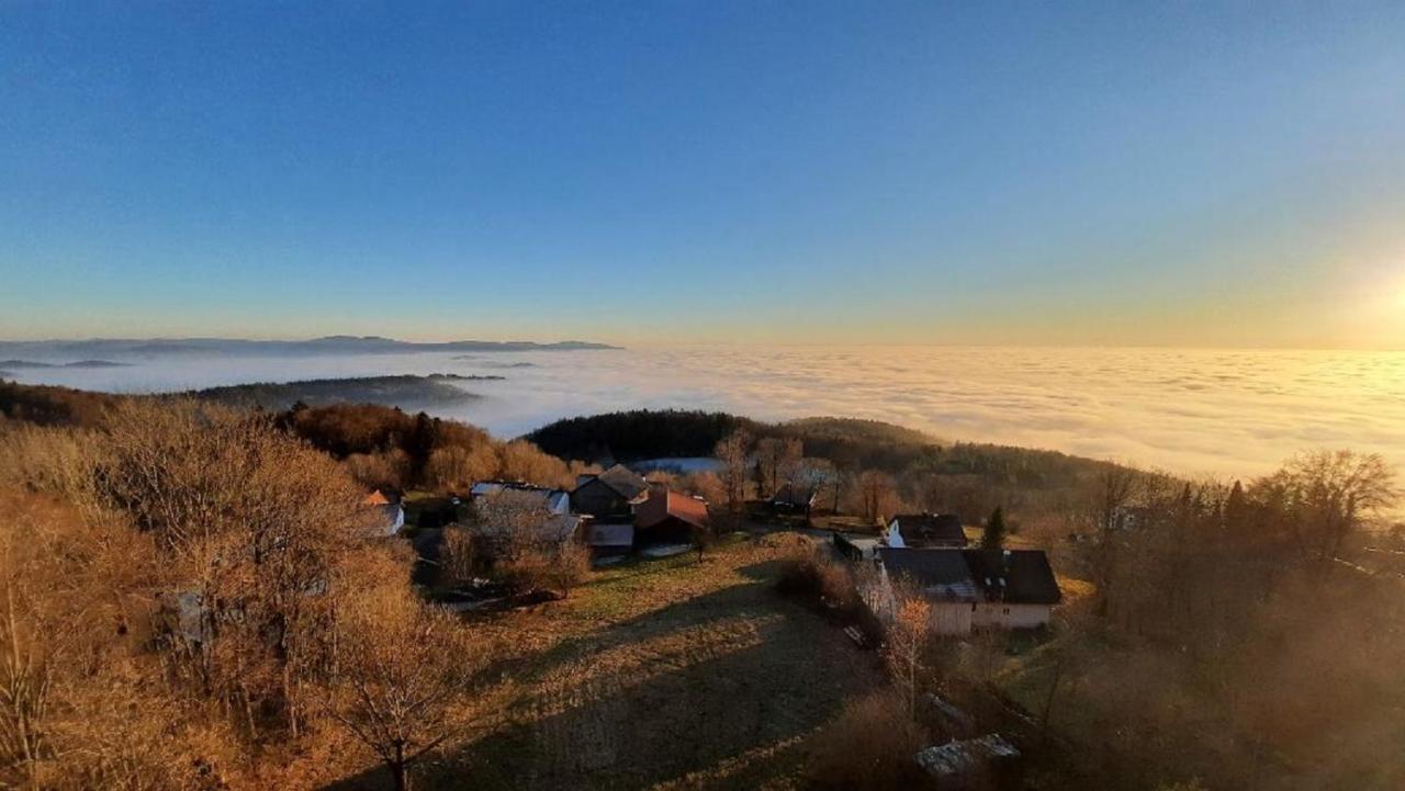 Traumblick Bayerischer Wald, Pool & Sauna, Getraenke, Klimaanlage Apartment *