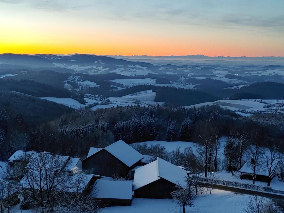 Apartment Traumblick Bayerischer Wald, Pool & Sauna, Getraenke, Klimaanlage
