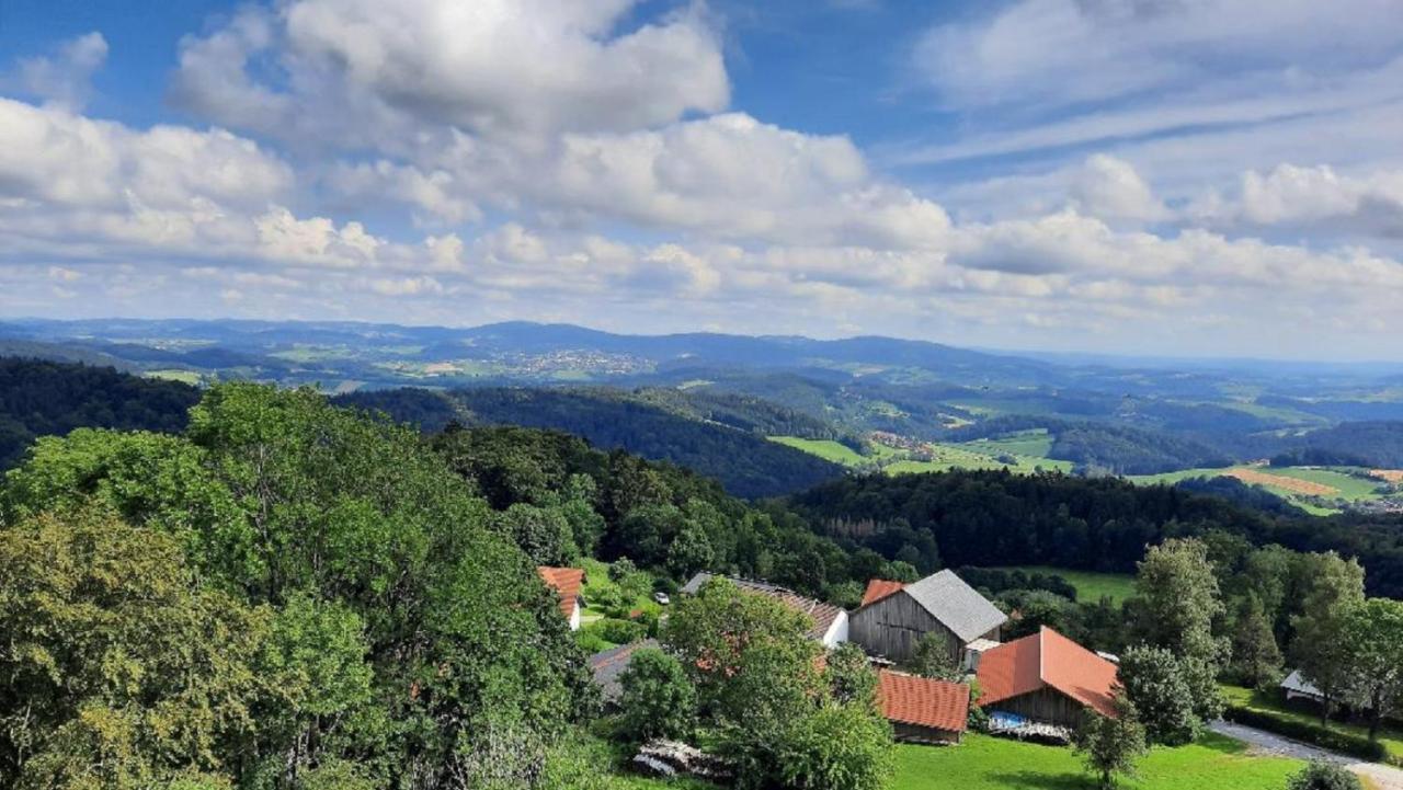 Apartment Traumblick Bayerischer Wald, Pool & Sauna, Getraenke, Klimaanlage Freyung