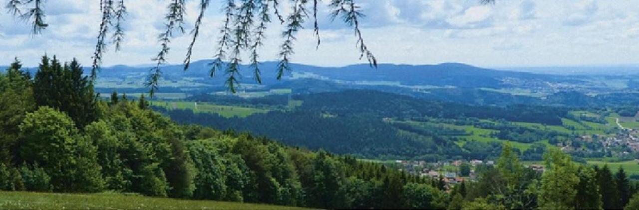 Apartment Traumblick Bayerischer Wald, Pool & Sauna, Getraenke, Klimaanlage *