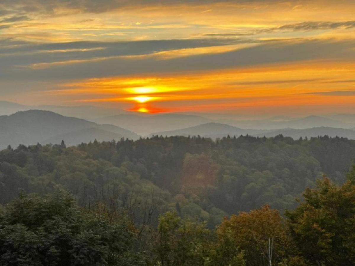 Traumblick Bayerischer Wald, Pool & Sauna, Getraenke, Klimaanlage Апартаменты