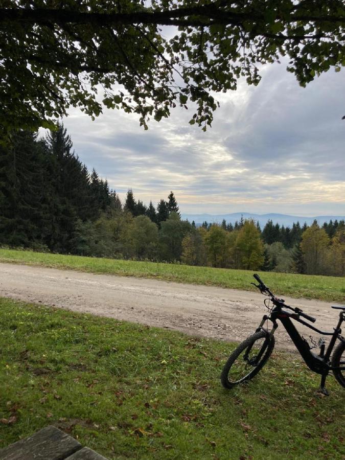 Traumblick Bayerischer Wald, Pool & Sauna, Getraenke, Klimaanlage * Фрайунг