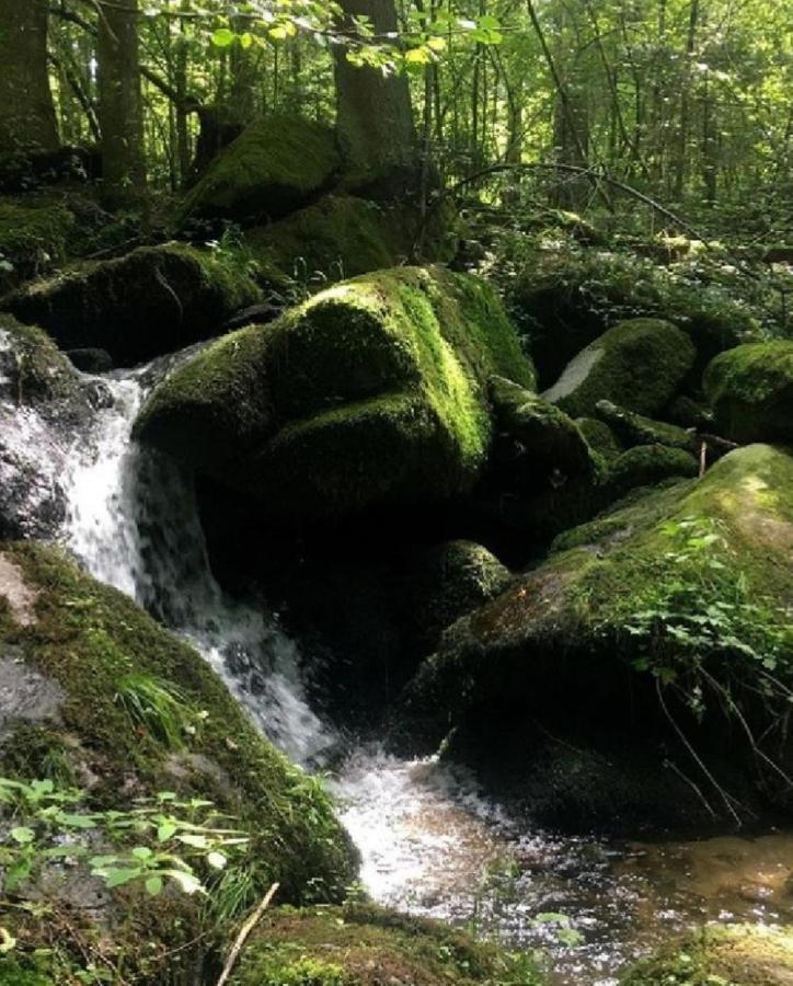 Traumblick Bayerischer Wald, Pool & Sauna, Getraenke, Klimaanlage