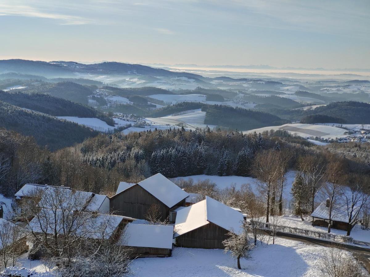 Apartment Traumblick Bayerischer Wald, Pool & Sauna, Getraenke, Klimaanlage
