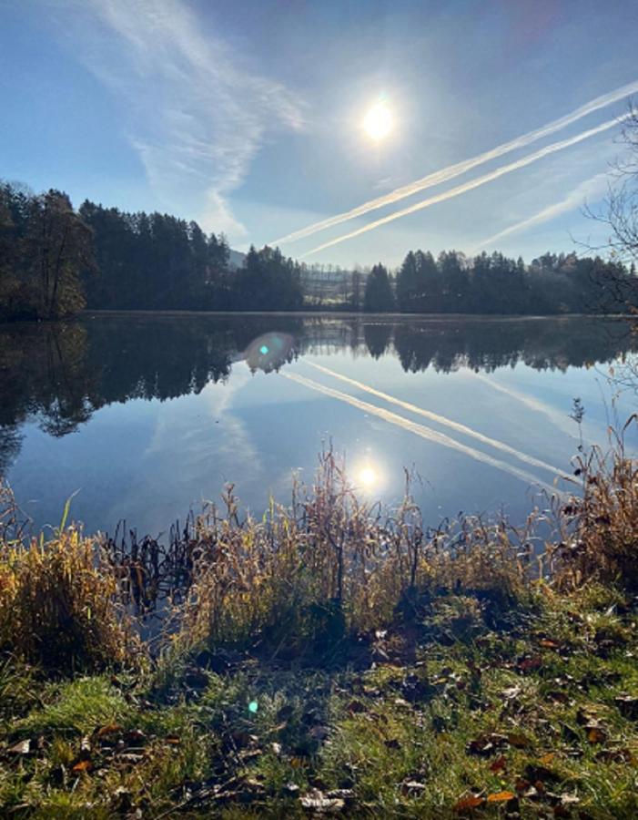 Traumblick Bayerischer Wald, Pool & Sauna, Getraenke, Klimaanlage *
