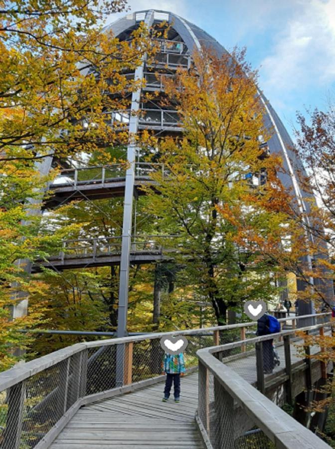 Traumblick Bayerischer Wald, Pool & Sauna, Getraenke, Klimaanlage * Фрайунг