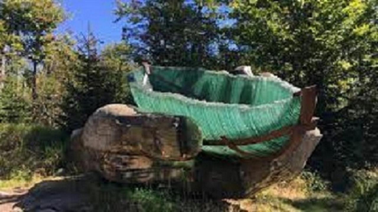 Traumblick Bayerischer Wald, Pool & Sauna, Getraenke, Klimaanlage Апартаменты *