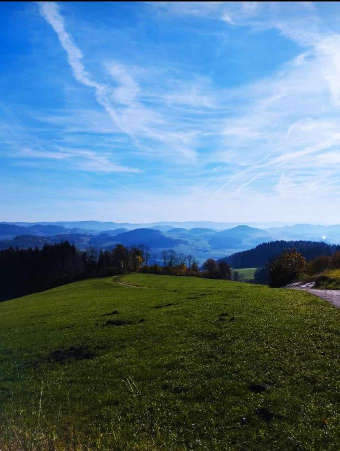 Traumblick Bayerischer Wald, Pool & Sauna, Getraenke, Klimaanlage Apartment